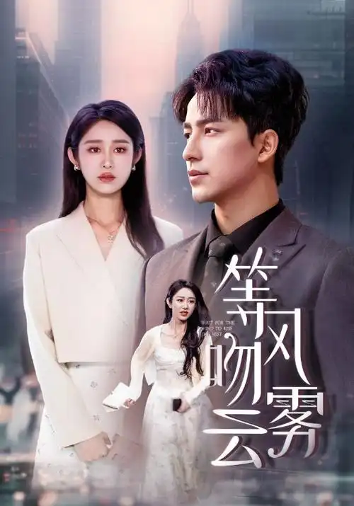 合租三十六计海报